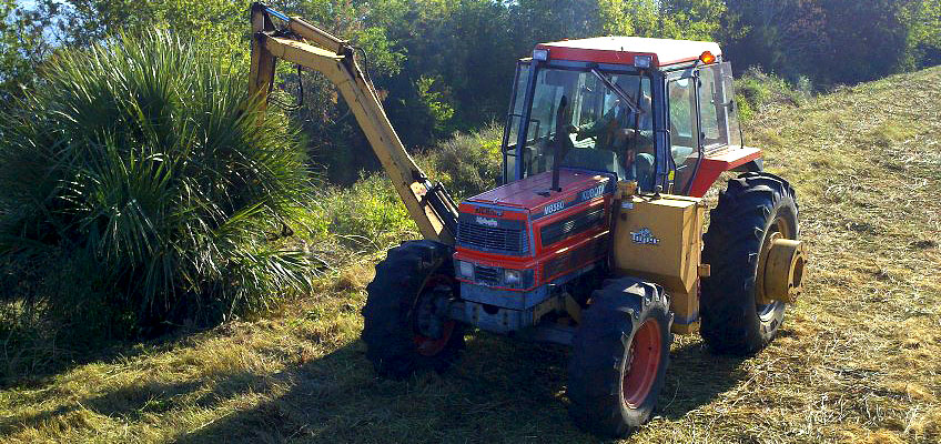 Cumberland offers Heavy Duty Bush Hogging services