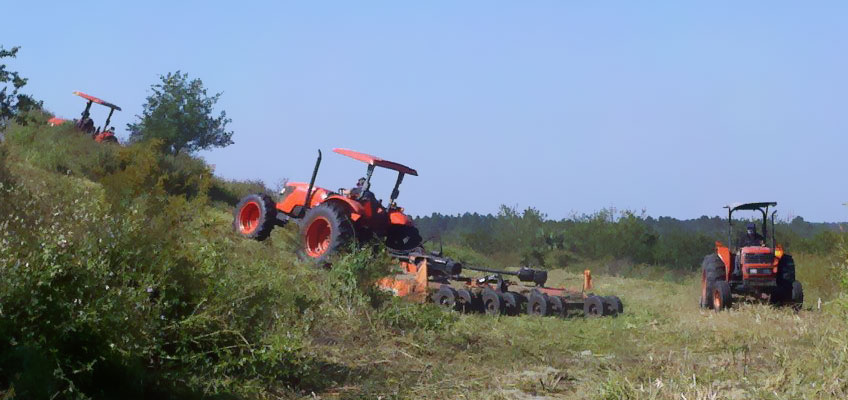 The Cumberland Land Clearing team at work