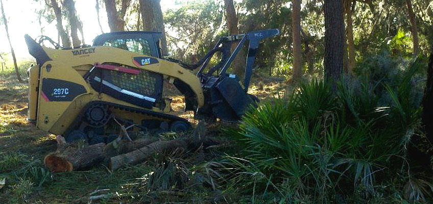 Cumberland Landclearing Services with bobcat