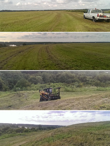Mowing and Clearing project after completion