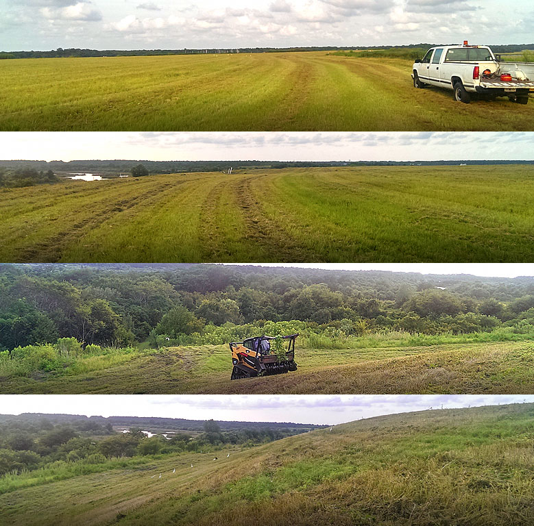 Mowing and Clearing project after completion