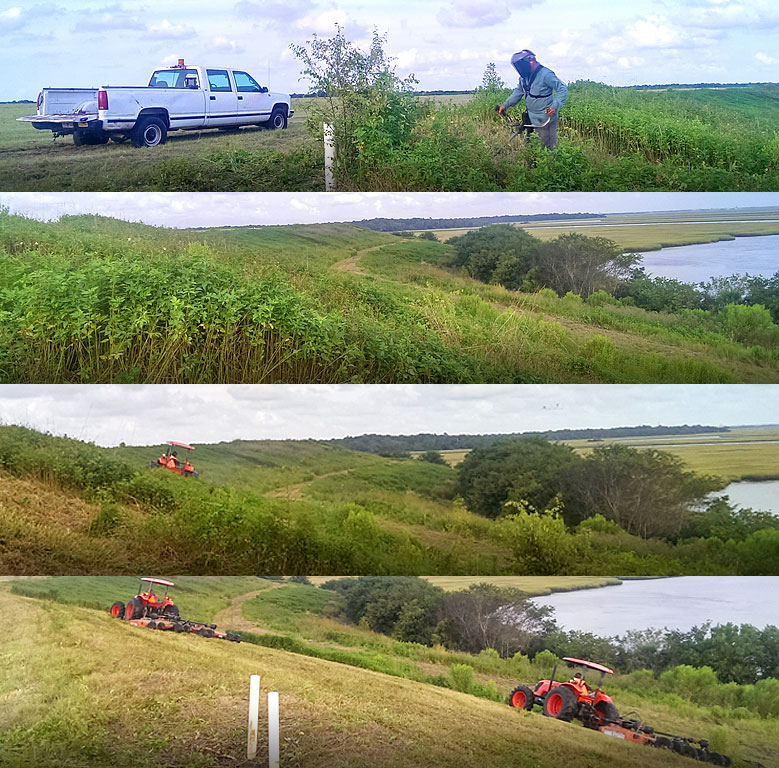 Mowing and Clearing project before completion